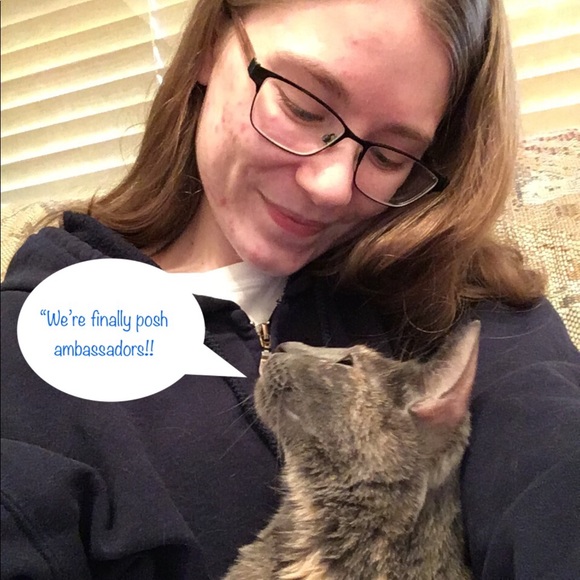 We’re Posh Ambassadors!!🐱💜🎉 - Picture 2 of 4